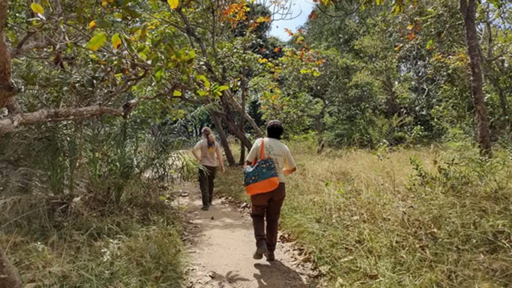 Parque Vida Cerrado: um centro de biodiversidade no coração do oeste baiano