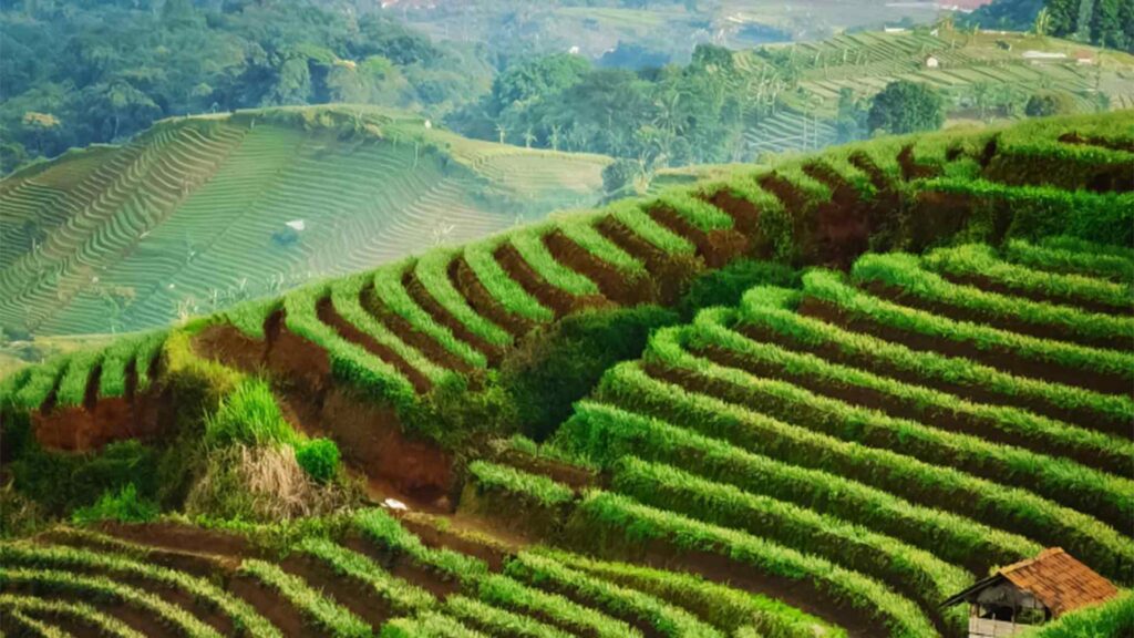 Infraestrutura verde e soluções baseadas na natureza na engenharia civil e mineração