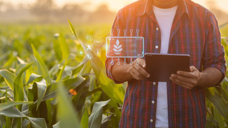 Engenharia pesada e agronegócio: como os minerais certos aumentam a produtividade do campo