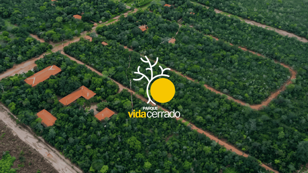 O Parque Vida Cerrado completa 20 anos. Conheça a história do projeto criado pela Galvani para conservar a biodiversidade da Bahia.