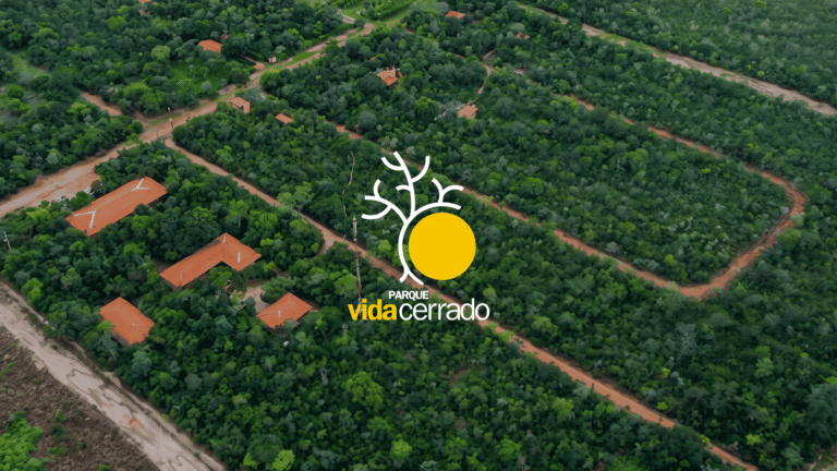 O Parque Vida Cerrado completa 20 anos. Conheça a história do projeto criado pela Galvani para conservar a biodiversidade da Bahia.