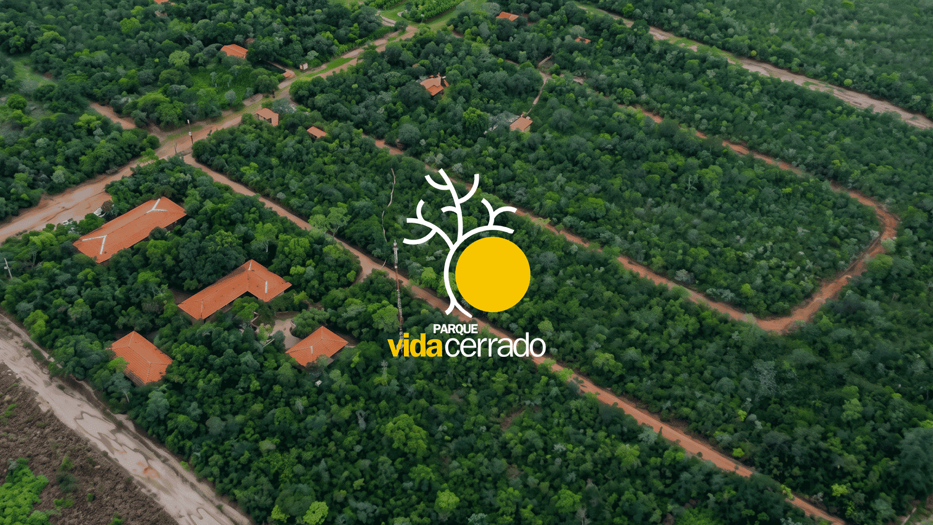 O Parque Vida Cerrado completa 20 anos. Conheça a história do projeto criado pela Galvani para conservar a biodiversidade da Bahia.
